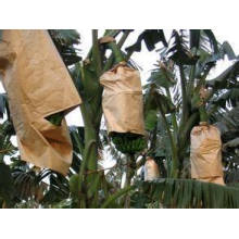 Competitive Price Warehouse Fruit Bags for Protecting Fruit, Vegetables